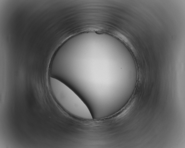 X0000089940802200706290814
