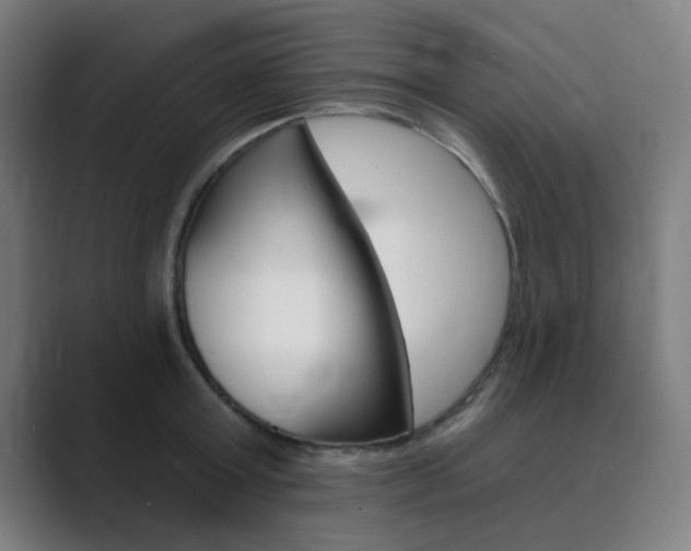 X0000089940803200706290814