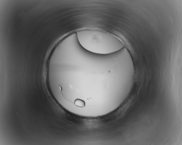 X0000089940804200706290814