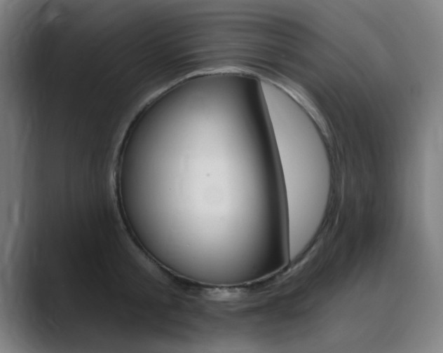 X0000089940805200706290814