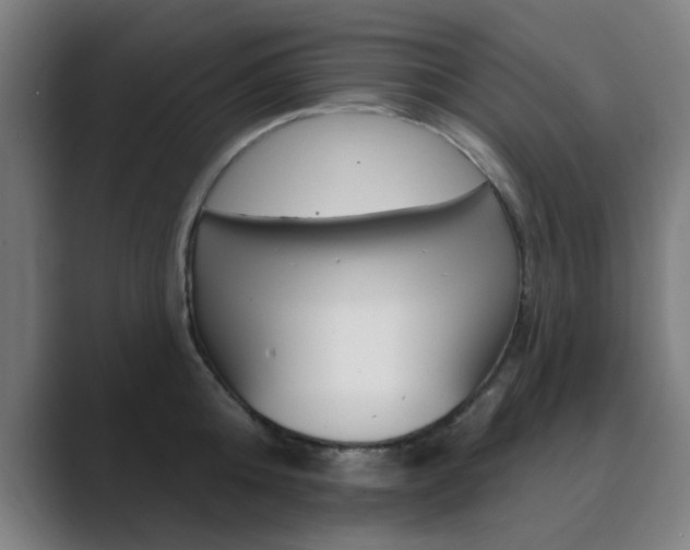 X0000089940808200706290814