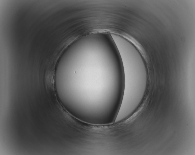 X0000089940809200706290814