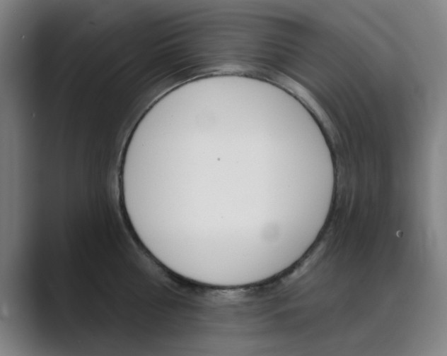 X0000089940810200706290814