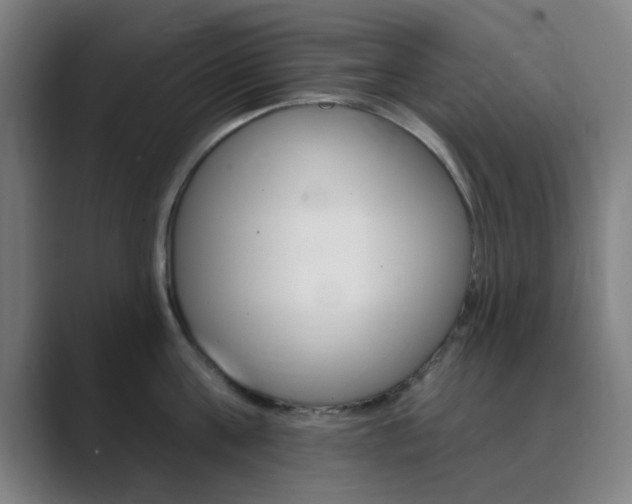 X0000089940811200706290814