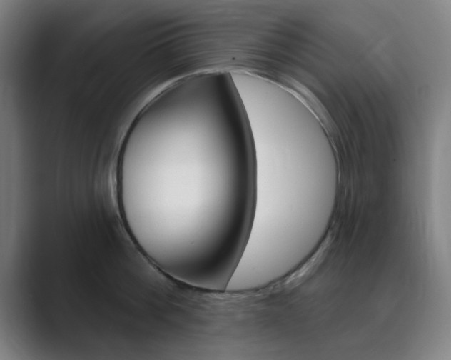 X0000089940812200706290814