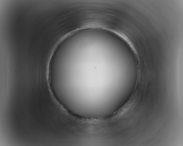 X0000089940815200706290814
