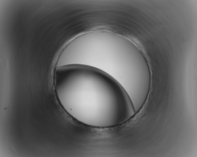 X0000089940816200706290814