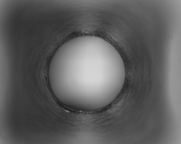 X0000089940817200706290813