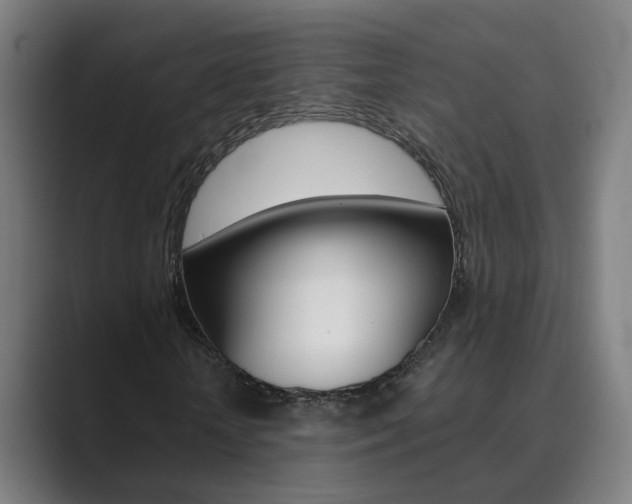 X0000089940818200706290813