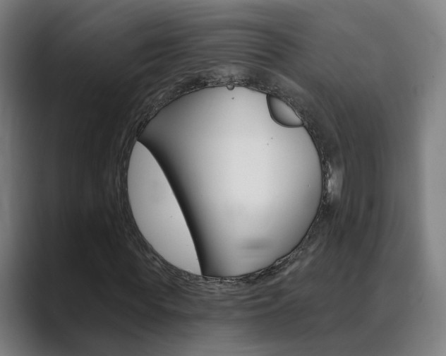 X0000089940819200706290813