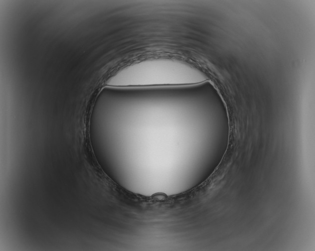 X0000089940821200706290813