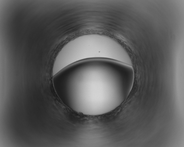 X0000089940822200706290813