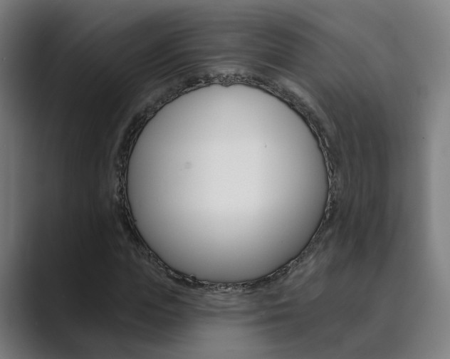 X0000089940823200706290813