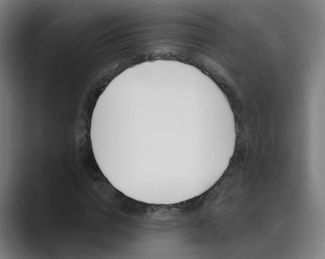 X0000089940824200706290813