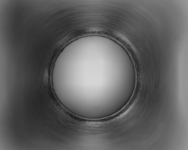 X0000089940825200706290813