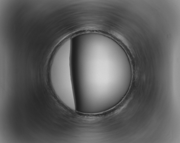 X0000089940829200706290814