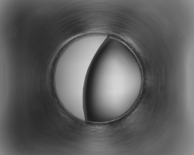 X0000089940830200706290814