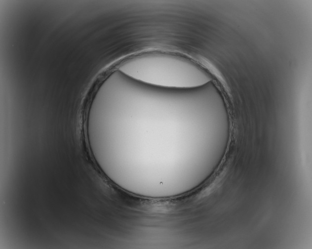 X0000089940831200706290814