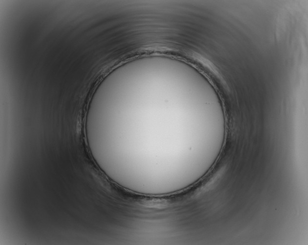X0000089940833200706290814