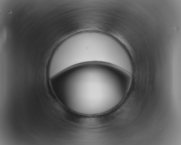 X0000089940834200706290814