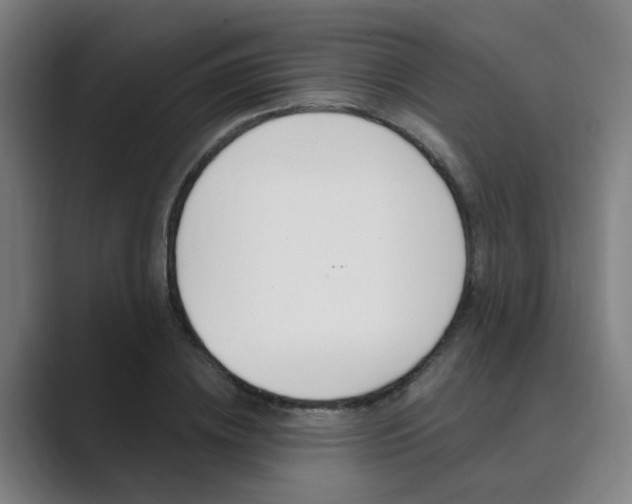 X0000089940836200706290814