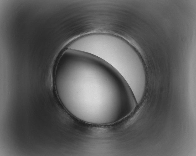 X0000089940838200706290814