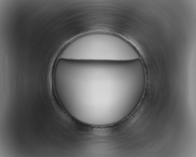 X0000089940840200706290814