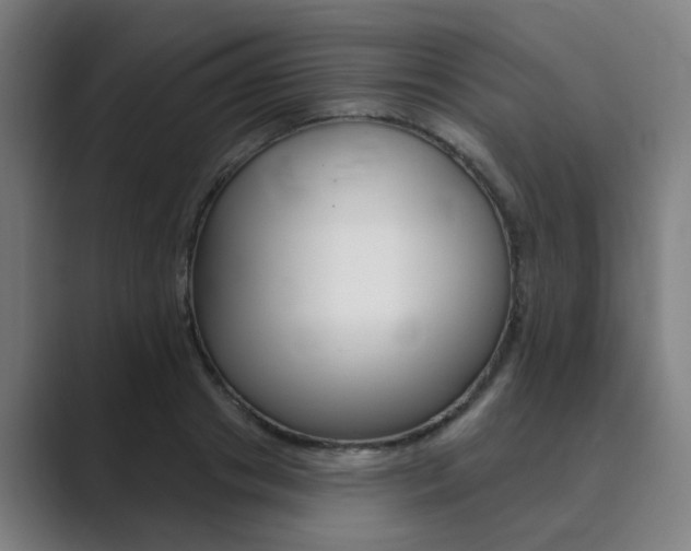 X0000089940841200706290814