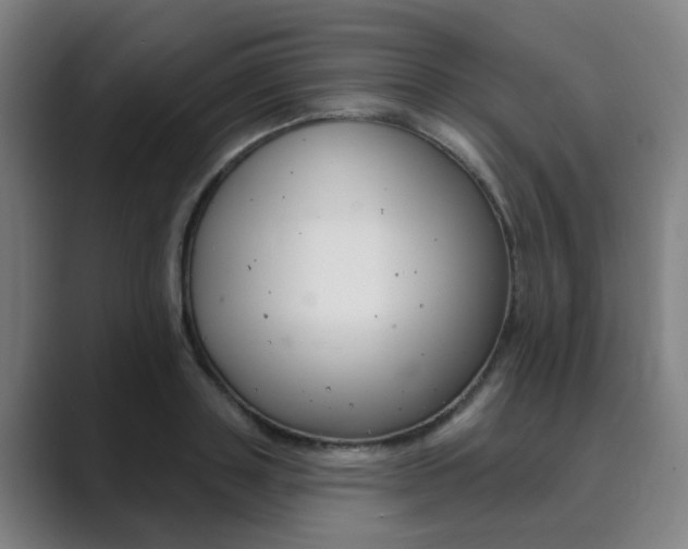 X0000089940843200706290814