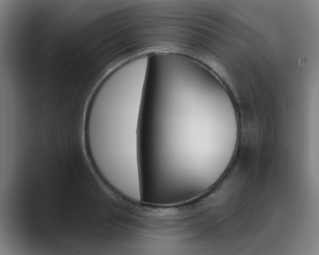 X0000089940845200706290814