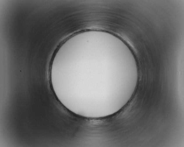 X0000089940848200706290814