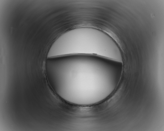 X0000089940849200706290814