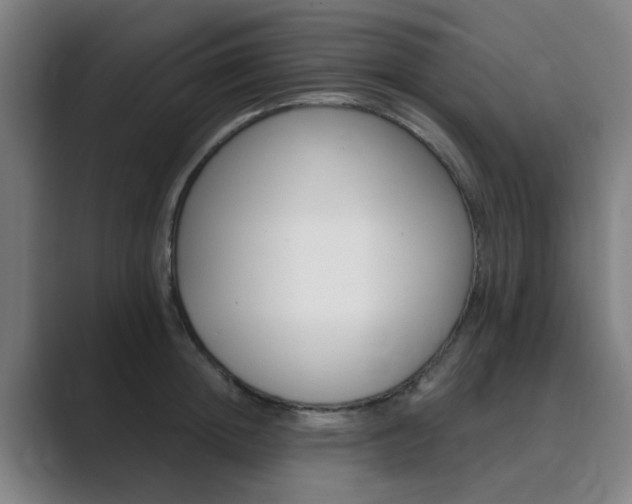 X0000089940852200706290814