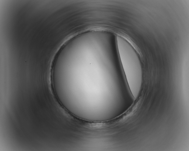 X0000089940853200706290814