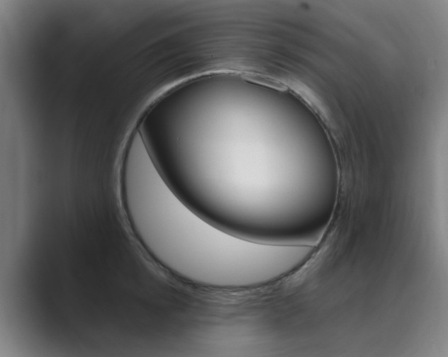X0000089940854200706290814