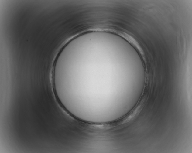 X0000089940855200706290814