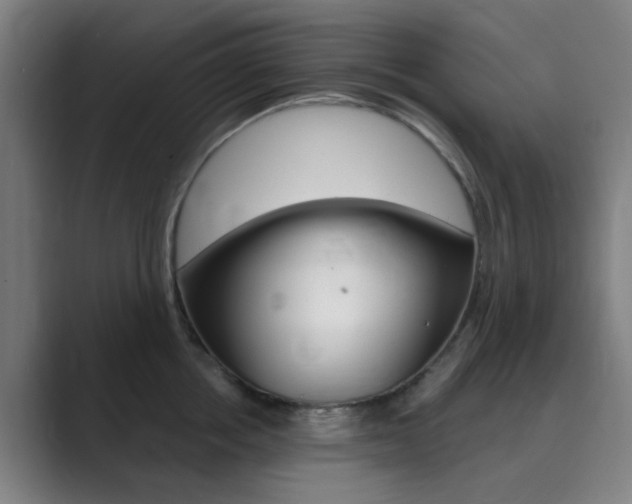 X0000089940858200706290814