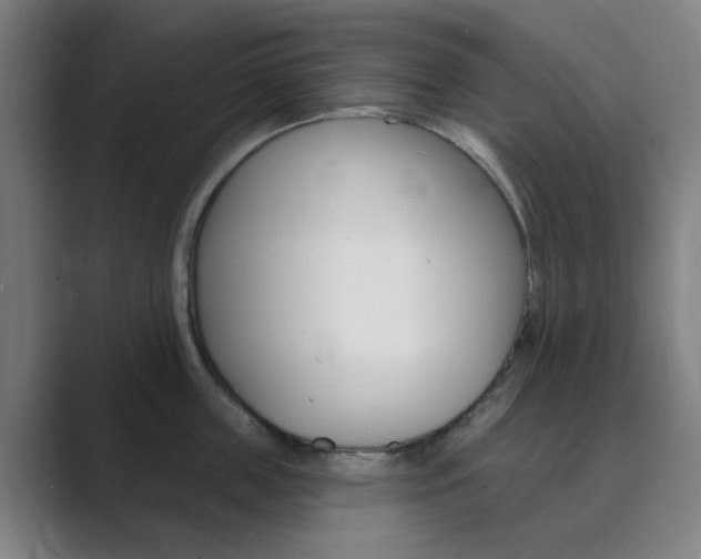 X0000089940859200706290814