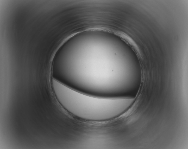 X0000089940860200706290814