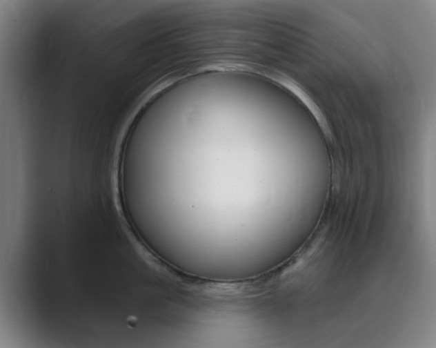 X0000089940861200706290814