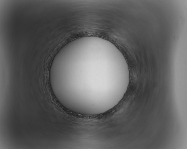 X0000089940865200706290813