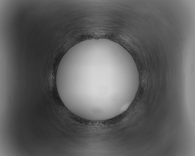 X0000089940866200706290813