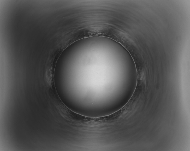 X0000089940868200706290813