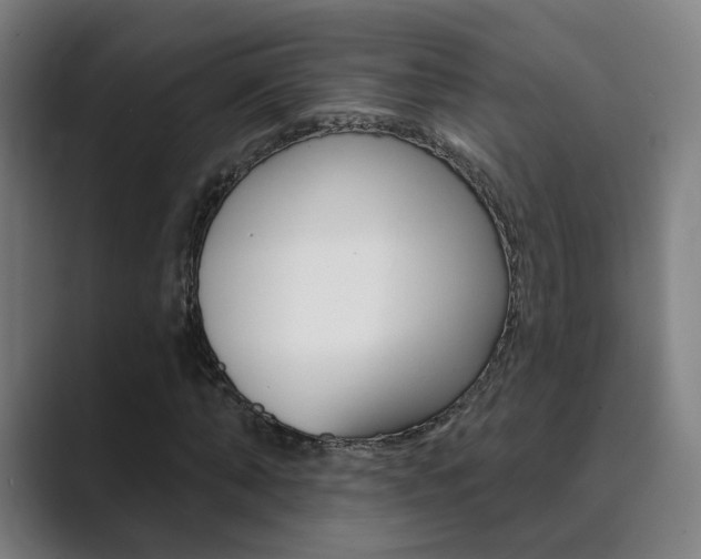 X0000089940870200706290813