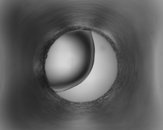 X0000089940872200706290813