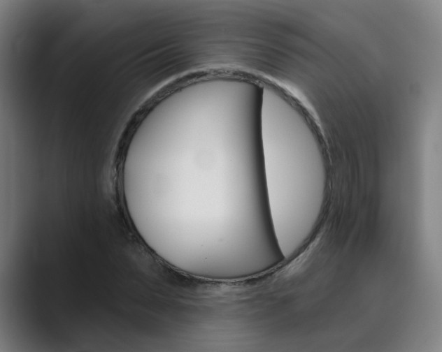 X0000089940879200706290813