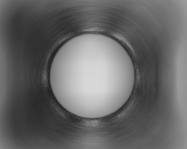 X0000089940882200706290813
