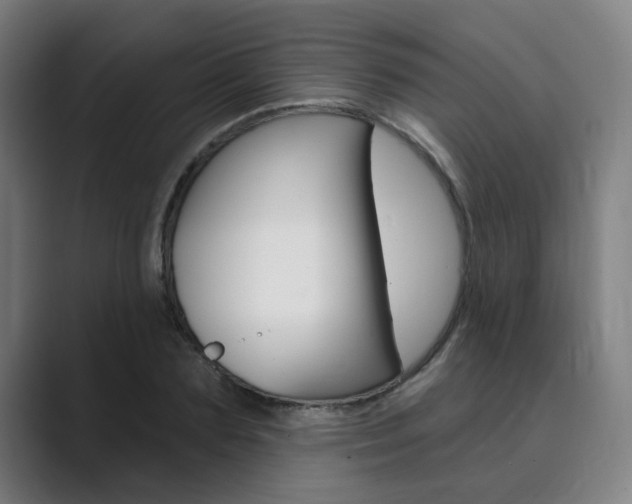 X0000089940883200706290813