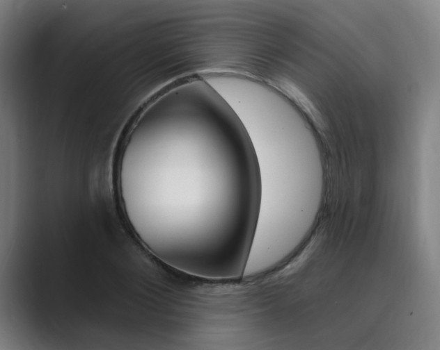 X0000089940884200706290813