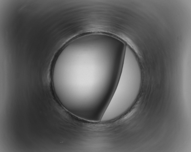 X0000089940885200706290813